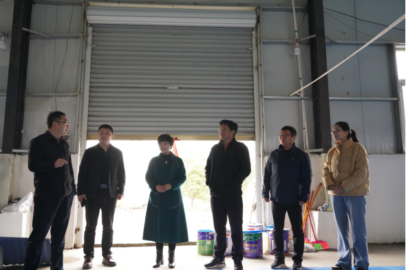 市產(chǎn)業(yè)集團黨委書記、董事長劉培建一行深入結對幫扶村調研鄉(xiāng)村振興工作174.png